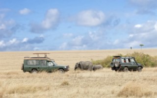Uganda Trek & Tanzania Safari [320x200]